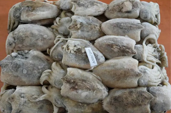 馬來(lái)西亞冷凍墨魚(yú)進(jìn)口報(bào)關(guān)流程 馬來(lái)西亞冷凍墨魚(yú)進(jìn)口報(bào)關(guān)流程