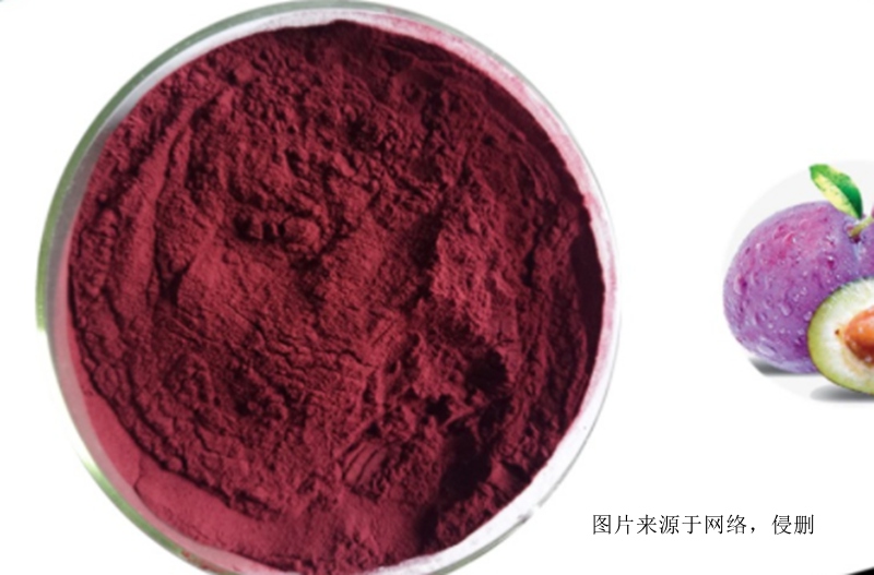 智利西梅果粉進(jìn)口報關(guān)資料 智利西梅果粉進(jìn)口報關(guān)資料