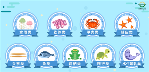 1572311861173281.png 冷凍水產(chǎn)品進(jìn)口報關(guān)