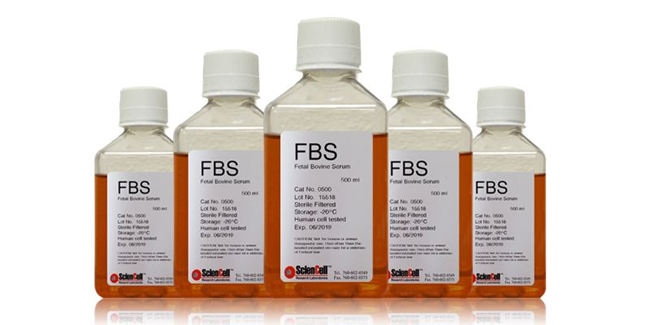 1595468629645545.png 胎牛血清進口報關(guān)