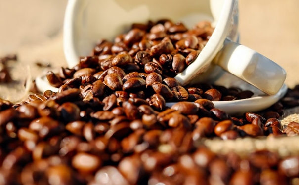 咖啡豆進口報關(guān) 加拿大咖啡豆進口報關(guān)的流程以及資料是怎樣的