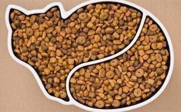 【進口貓糧清關代理】的流程，貓糧進口這樣做