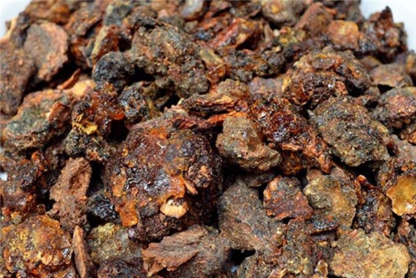 沒藥報關報檢代理公司告訴你進口報關方案 沒藥報關報檢代理公司.jpg