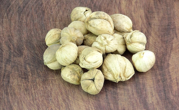 天津港進口豆蔻清關(guān)一站式代理服務(wù) 豆蔻進口報關(guān)_副本.jpg