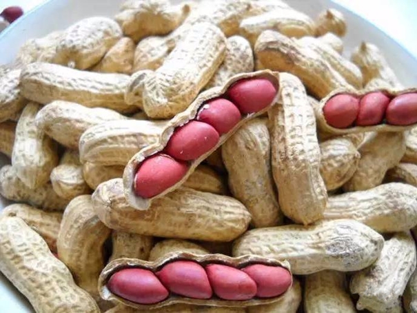 1638359170278940.jpg 花生進口清關代理需要的資質以及資料_副本.jpg