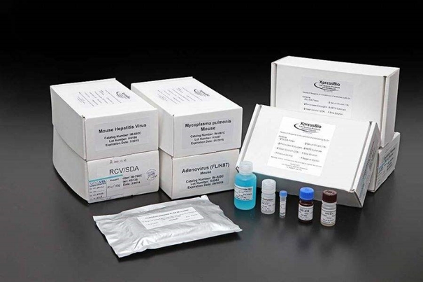 1639982035396984.jpg 美國(guó)進(jìn)口生物試劑報(bào)關(guān)常見問題_副本.jpg