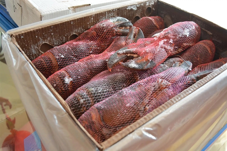 1651224613762989.jpg 進口肯尼亞野生水產品報關.jpg