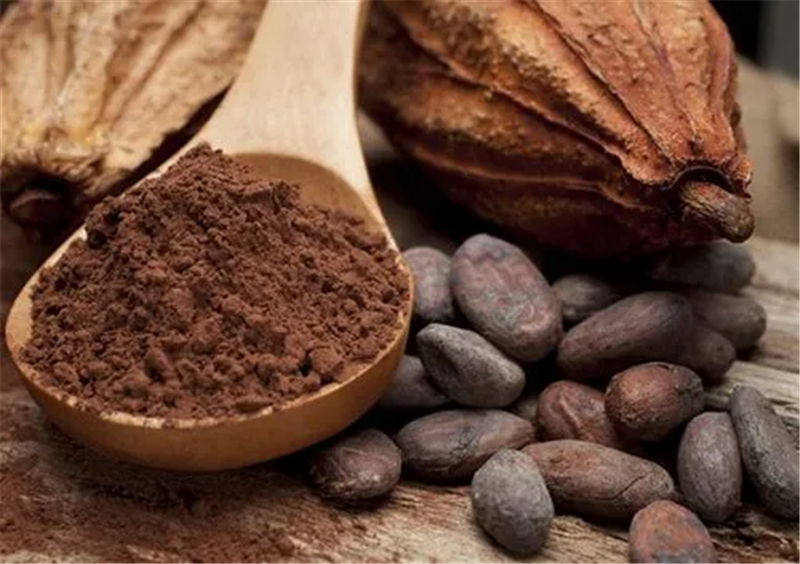 1653469795583609.png 巧克力原料進口報關.png