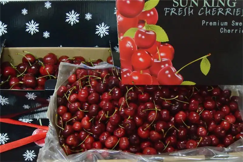 1664526588670863.png 北京水果進口報關公司.png