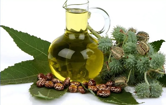 1673265035515204.jpg 進口印度蓖麻油清關(guān).jpg