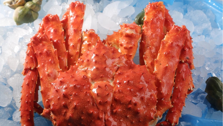 上海進口挪威帝王蟹報關(guān)資料 上海進口挪威帝王蟹報關(guān)資料