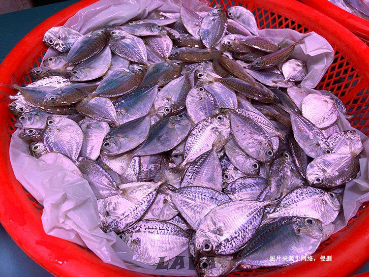 厄瓜多爾冷凍魚進口清關(guān)流程 厄瓜多爾冷凍魚進口清關(guān)流程