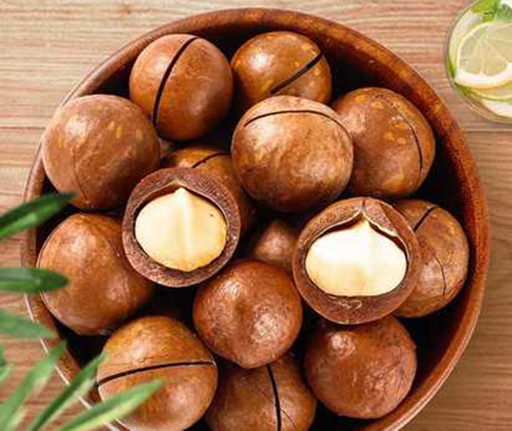 南非夏威夷果進口報關(guān) 南非夏威夷果進口報關(guān)