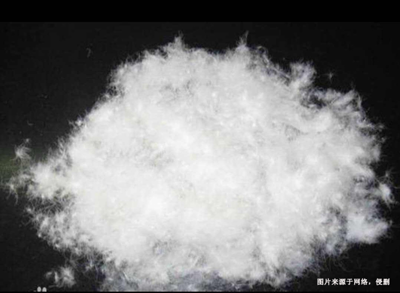 1699003311575403.jpg 越南水洗鴨絨進(jìn)口清關(guān)流程到上海外高橋海運(yùn)案例1.jpg